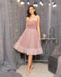 Marie Antoinette Tulle Dress