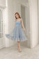 Marie Antoinette Tulle Dress