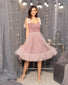 Marie Antoinette Tulle Dress