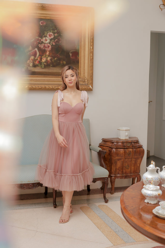 Marie Antoinette Tulle Dress