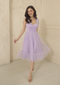 Marie Antoinette Tulle Dress