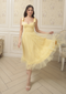 Marie Antoinette Tulle Dress